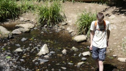 A family walk to Llyn Cefni