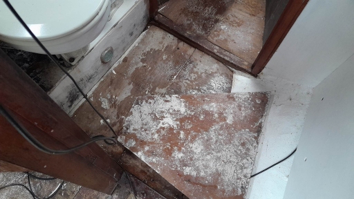 Head Floor Before