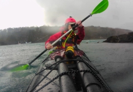 Menai Strait in squall with seal behind.